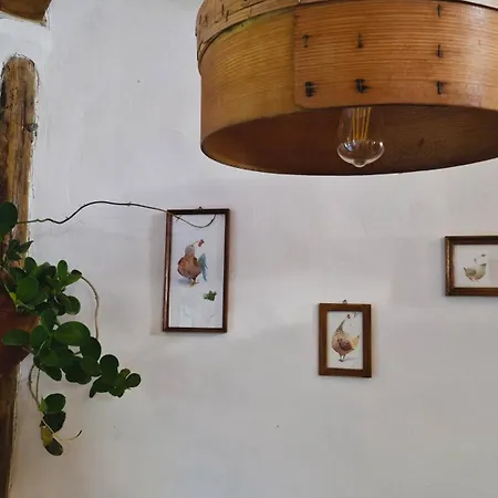 Nyaraló Kuca Od Slame Panonski Mornar Monostorszeg